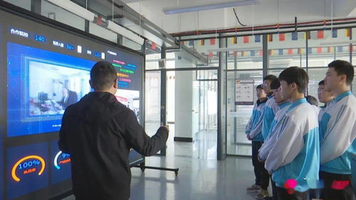 新泰市持续推进职业教育创新，更好服务经济社会发展与社会经济咨询服务